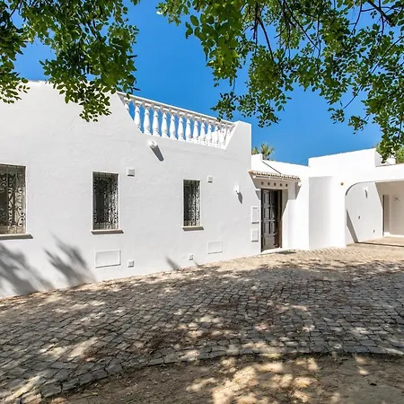 Saragoca Loulé